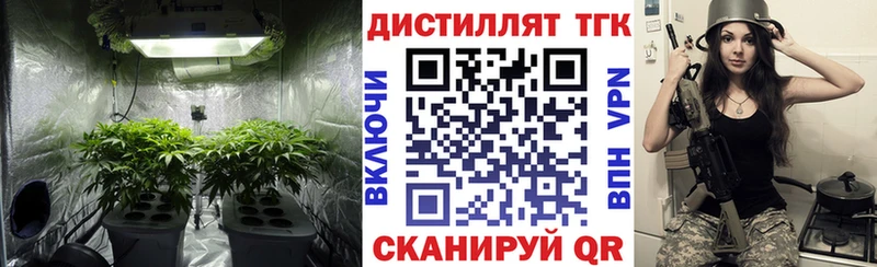 ТГК Wax  Купить  Багратионовск 
