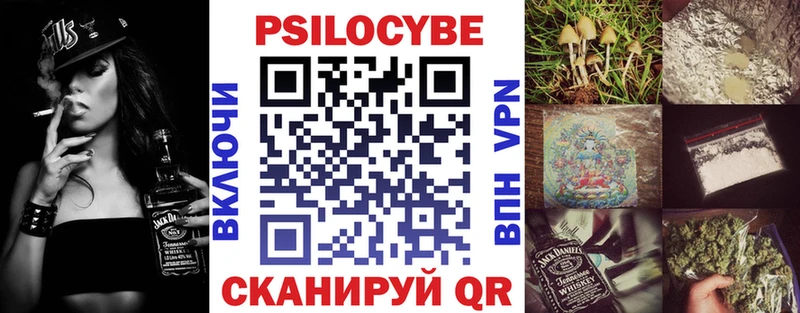 Купить где  Багратионовск  Псилоцибиновые грибы мицелий 